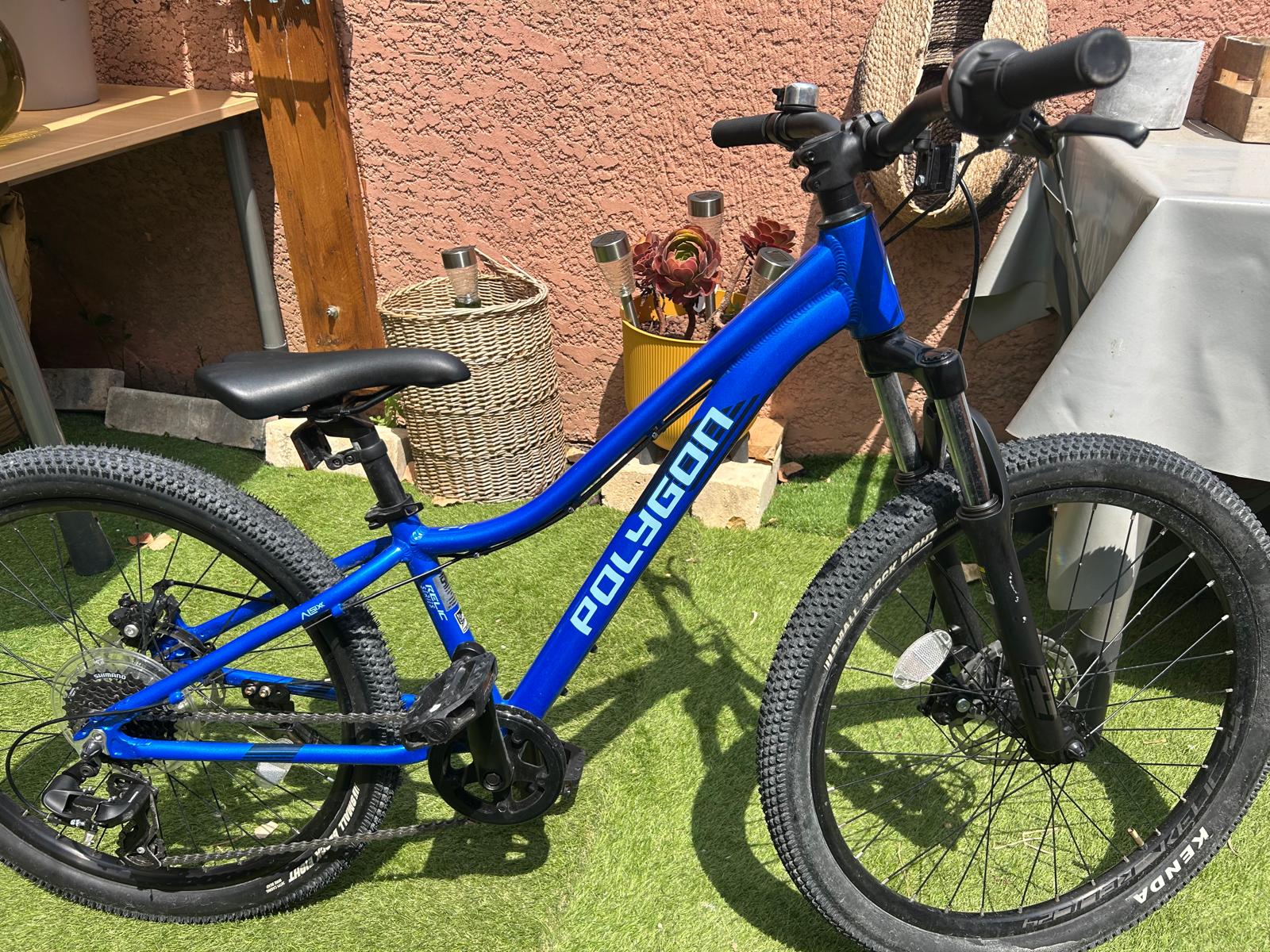 Fischeirabike vélo polygon